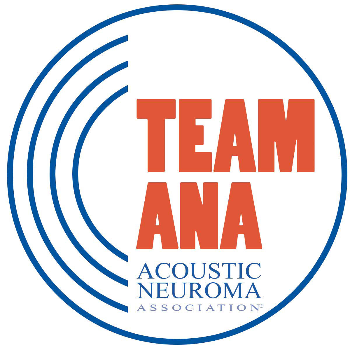 TeamANAlogoOptimized