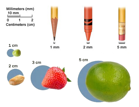 Cm Size Comparison Chart